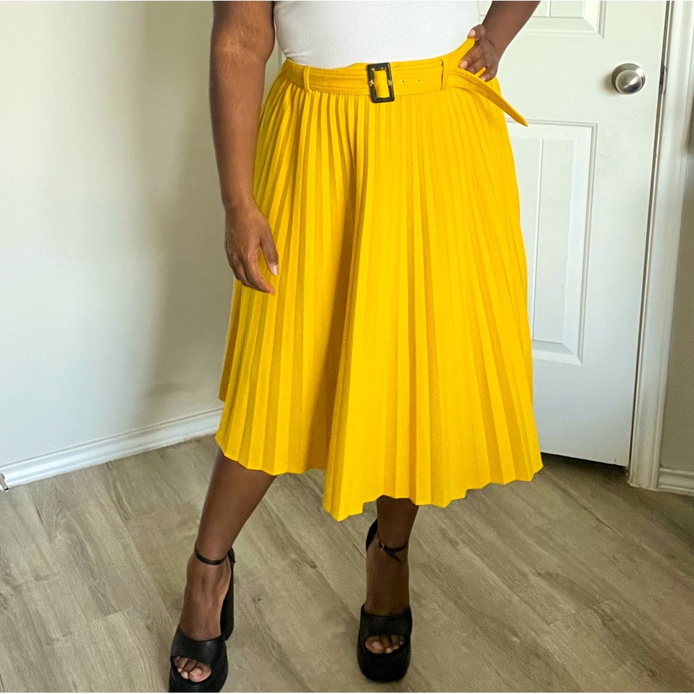 Ann Taylor Pleated Skirt